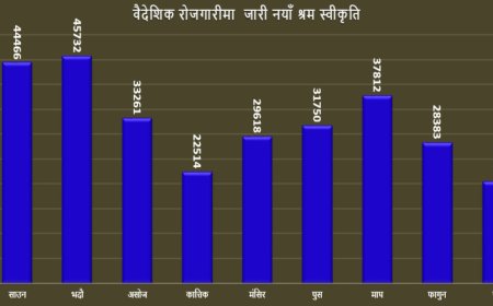 आफ्नै माटोतर्फ फर्किँदो पाइला
