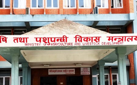 किसानलाई समयमै भुक्तानीको सुनिश्चितता