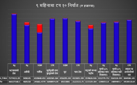 निर्यातमा नयाँ उचाइ
