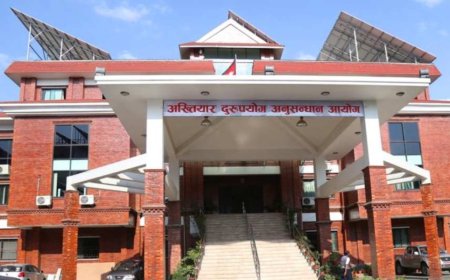 सुशासनतर्फको कडाइ