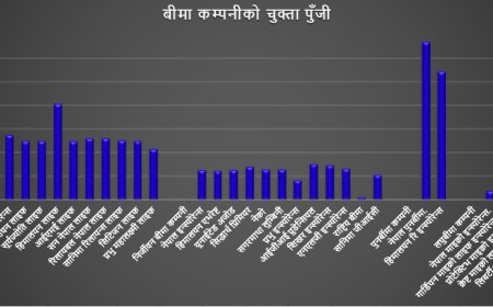 बीमा क्षेत्रमा मजबुतीको नयाँ उचाइ