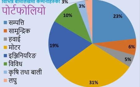 बीमा विस्तारमा सन्तुलनको आवश्यकता