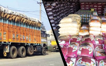 ढुवानी लागतले खाद्यान्न बजारमा चाप