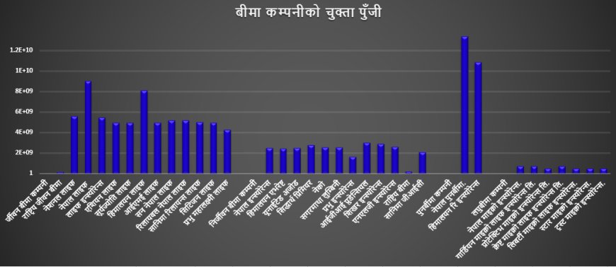 बीमा क्षेत्रमा मजबुतीको नयाँ उचाइ